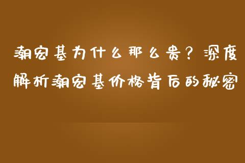 潮宏基为什么那么贵？深度解析潮宏基价格背后的秘密_https://qh.lansai.wang_海康威视股票_第1张