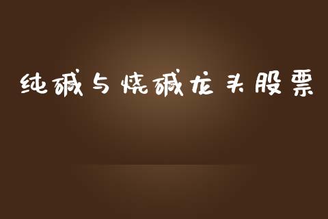 纯碱与烧碱龙头股票_https://qh.lansai.wang_期货喊单_第1张