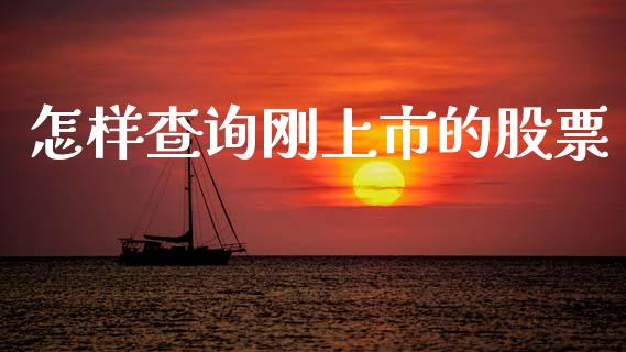 怎样查询刚上市的股票_https://qh.lansai.wang_新股数据_第1张