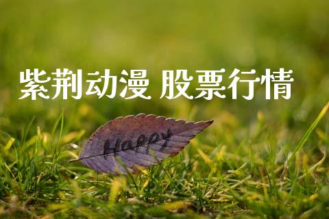 紫荆动漫 股票行情_https://qh.lansai.wang_股票新闻_第1张