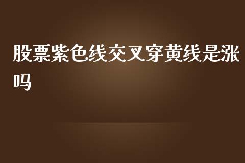 股票紫色线交叉穿黄线是涨吗_https://qh.lansai.wang_新股数据_第1张