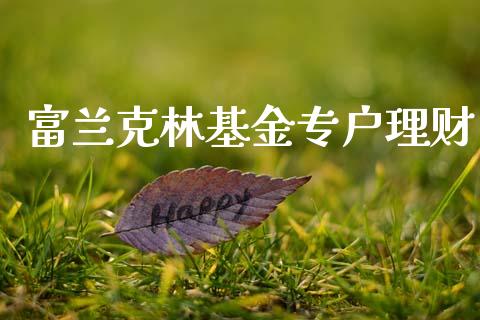 富兰克林基金专户理财_https://qh.lansai.wang_期货理财_第1张
