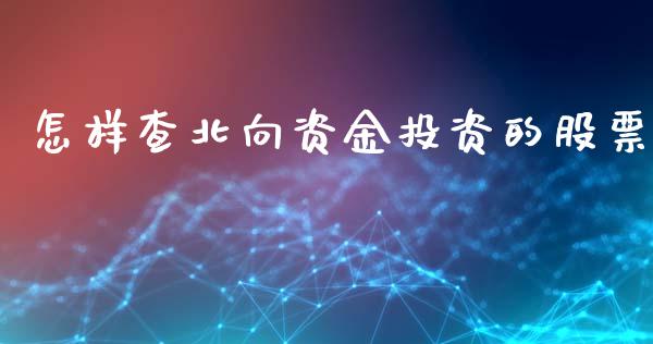 怎样查北向资金投资的股票_https://qh.lansai.wang_期货理财_第1张