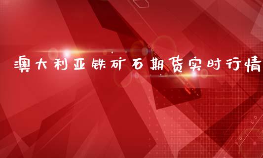 澳大利亚铁矿石期货实时行情_https://qh.lansai.wang_期货理财_第1张