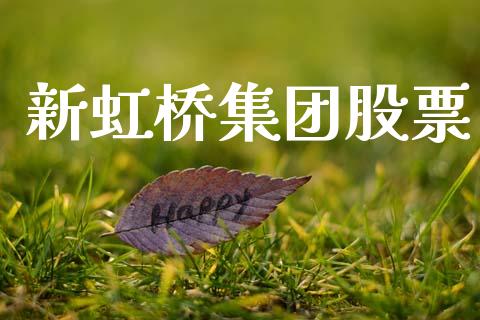 新虹桥集团股票_https://qh.lansai.wang_期货喊单_第1张
