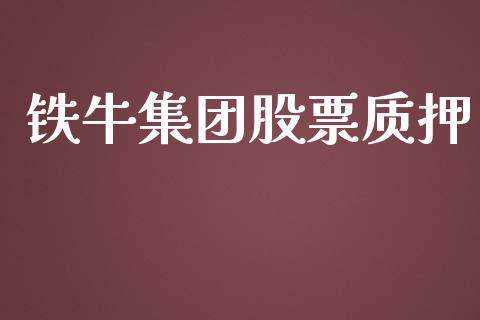 铁牛集团股票质押_https://qh.lansai.wang_期货怎么玩_第1张