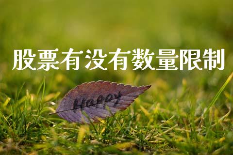 股票有没有数量限制_https://qh.lansai.wang_期货理财_第1张