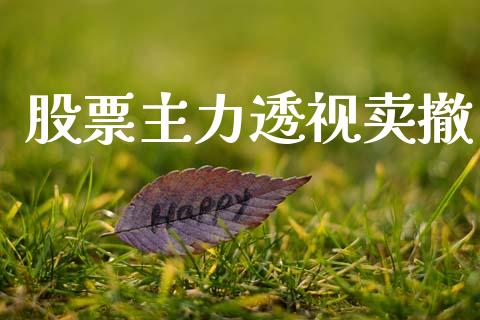 股票主力透视卖撤_https://qh.lansai.wang_期货理财_第1张