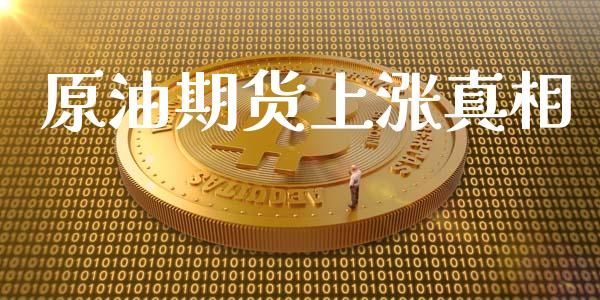原油期货上涨真相_https://qh.lansai.wang_期货怎么玩_第1张
