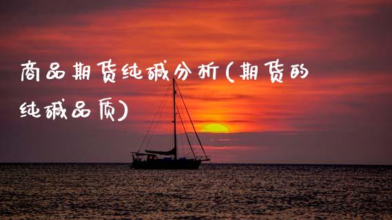 商品期货纯碱分析(期货的纯碱品质)_https://qh.lansai.wang_期货喊单_第1张