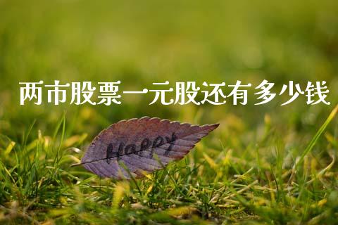 两市股票一元股还有多少钱_https://qh.lansai.wang_新股数据_第1张