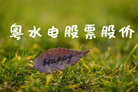粤水电股票股价_https://qh.lansai.wang_期货理财_第1张