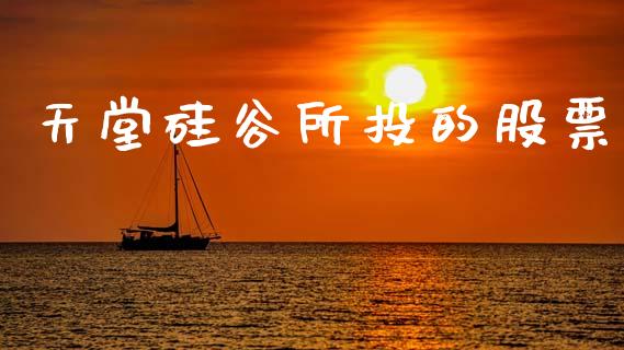 天堂硅谷所投的股票_https://qh.lansai.wang_新股数据_第1张