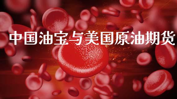 中国油宝与美国原油期货_https://qh.lansai.wang_期货怎么玩_第1张