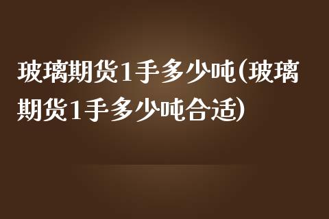 玻璃期货1手多少吨(玻璃期货1手多少吨合适)_https://qh.lansai.wang_期货怎么玩_第1张