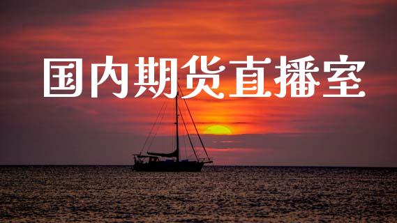 国内期货直播室_https://qh.lansai.wang_期货喊单_第1张