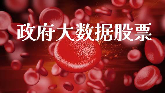 政府大数据股票_https://qh.lansai.wang_新股数据_第1张
