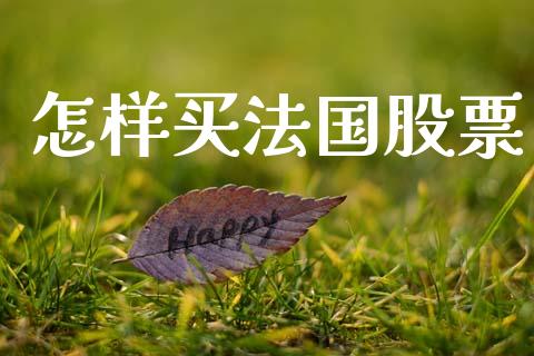 怎样买法国股票_https://qh.lansai.wang_新股数据_第1张