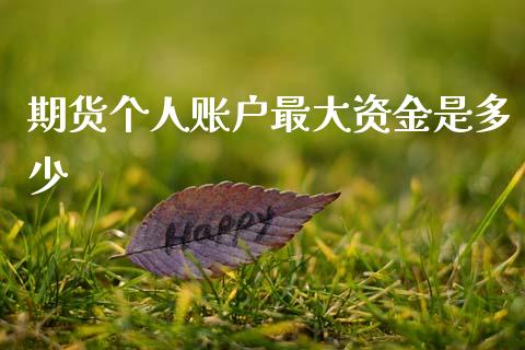期货个人账户最大资金是多少_https://qh.lansai.wang_期货理财_第1张
