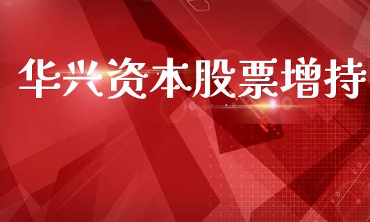华兴资本股票增持_https://qh.lansai.wang_期货理财_第1张