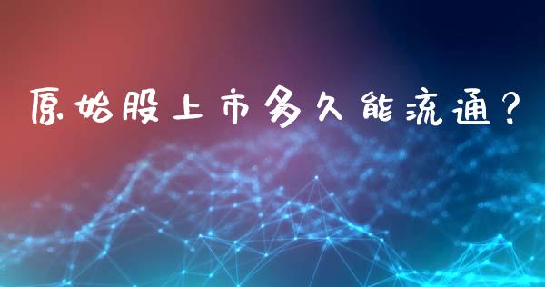 原始股上市多久能流通？_https://qh.lansai.wang_期货怎么玩_第1张