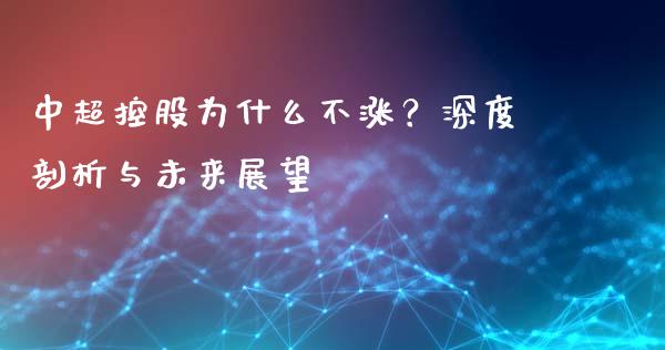 中超控股为什么不涨？深度剖析与未来展望_https://qh.lansai.wang_海康威视股票_第1张