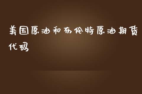 美国原油和布伦特原油期货代码_https://qh.lansai.wang_期货怎么玩_第1张