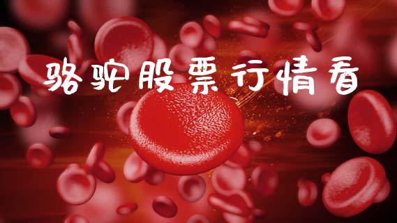 骆驼股票行情看_https://qh.lansai.wang_新股数据_第1张