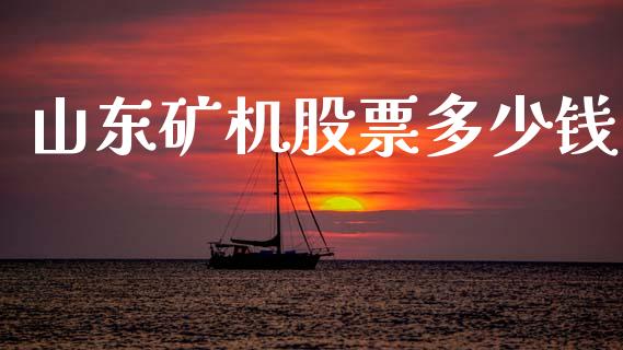 山东矿机股票多少钱_https://qh.lansai.wang_期货理财_第1张