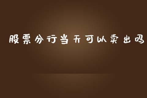 股票分行当天可以卖出吗_https://qh.lansai.wang_期货喊单_第1张