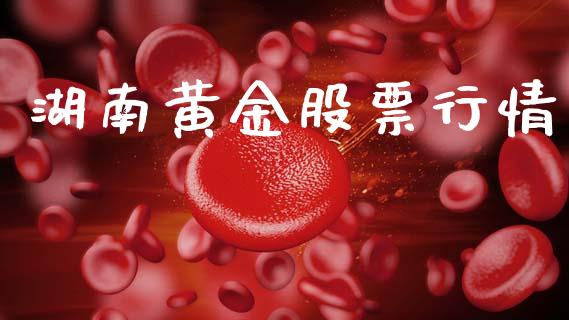 湖南黄金股票行情_https://qh.lansai.wang_新股数据_第1张