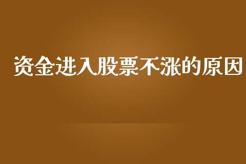 资金进入股票不涨的原因_https://qh.lansai.wang_期货理财_第1张