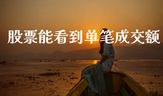 股票能看到单笔成交额_https://qh.lansai.wang_新股数据_第1张