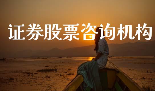 证券股票咨询机构_https://qh.lansai.wang_期货理财_第1张