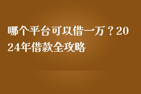 哪个平台可以借一万？2024年借款全攻略_https://qh.lansai.wang_期货怎么玩_第1张