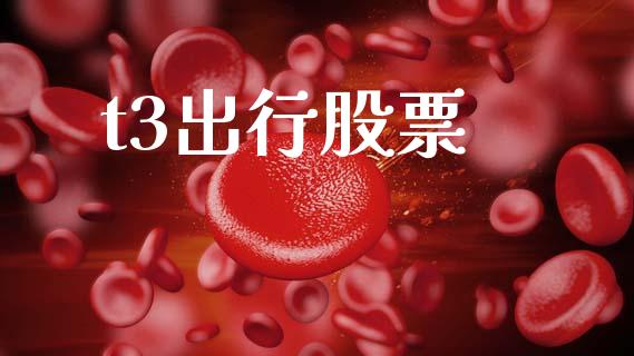 t3出行股票_https://qh.lansai.wang_期货怎么玩_第1张