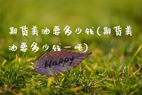 期货美油要多少钱(期货美油要多少钱一吨)_https://qh.lansai.wang_期货怎么玩_第1张