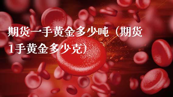 期货一手黄金多少吨（期货1手黄金多少克）_https://qh.lansai.wang_股票技术分析_第1张