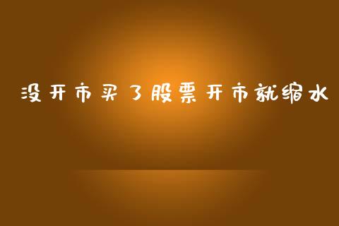 没开市买了股票开市就缩水_https://qh.lansai.wang_期货理财_第1张