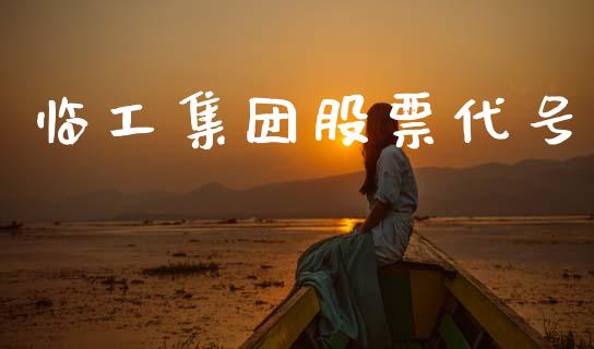 临工集团股票代号_https://qh.lansai.wang_新股数据_第1张