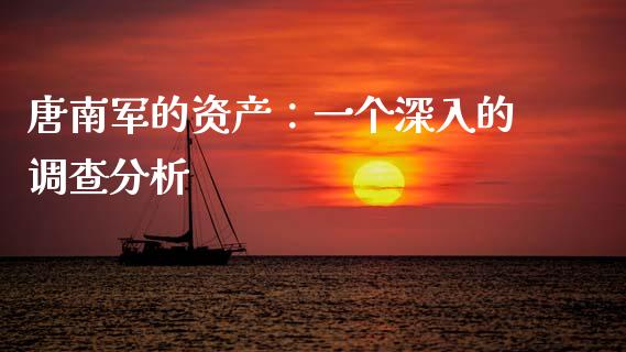 唐南军的资产：一个深入的调查分析_https://qh.lansai.wang_海康威视股票_第1张
