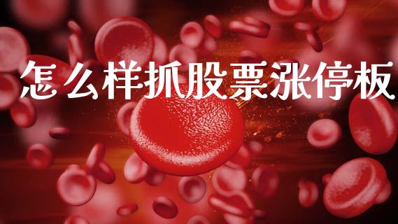怎么样抓股票涨停板_https://qh.lansai.wang_期货怎么玩_第1张