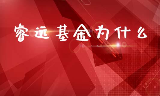 睿远基金为什么_https://qh.lansai.wang_股票技术分析_第1张