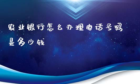 农业银行怎么办理电话号码是多少钱_https://qh.lansai.wang_股票新闻_第1张