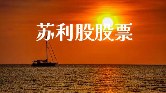 苏利股股票_https://qh.lansai.wang_期货喊单_第1张