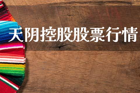 天阴控股股票行情_https://qh.lansai.wang_股票新闻_第1张