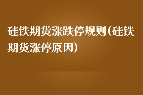 硅铁期货涨跌停规则(硅铁期货涨停原因)_https://qh.lansai.wang_期货喊单_第1张