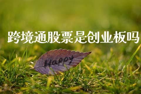 跨境通股票是创业板吗_https://qh.lansai.wang_新股数据_第1张