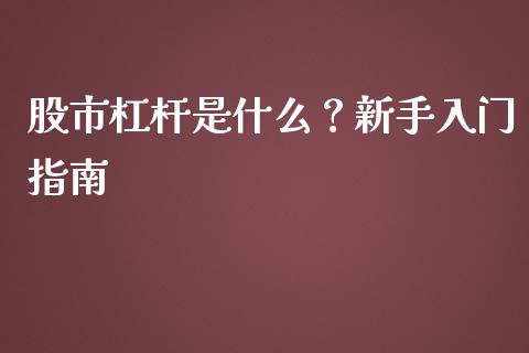 股市杠杆是什么？新手入门指南_https://qh.lansai.wang_期货怎么玩_第1张