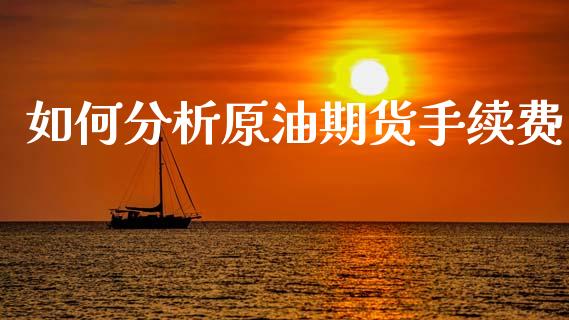 如何分析原油期货手续费_https://qh.lansai.wang_期货怎么玩_第1张